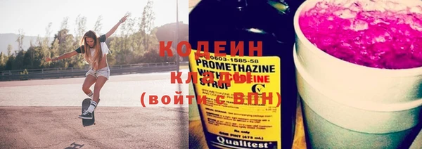дживик Семилуки