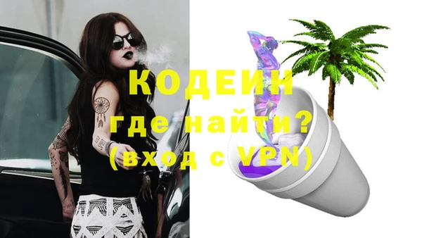 дживик Семилуки
