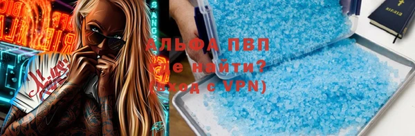 стаф Коряжма